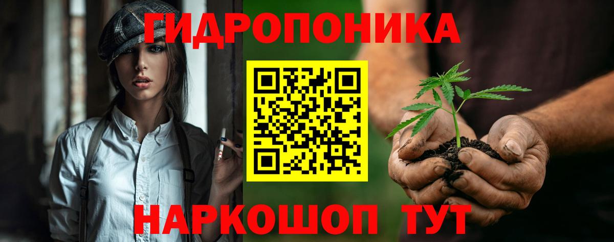 Каннабис индика Карачаевск